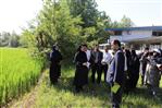 IMG_8784 - 1K JPEG.jpg