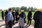 IMG_8807 - 1K JPEG.jpg