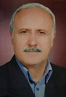 Seyed Ali Elahinia