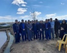 تولید برنج در راستای تقویت امنیت غذایی با شروع زودهنگام نشاکاری برنج و کشت ارقام پرمحصول در گیلان