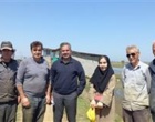کشاورزی پایدار؛ مسیر تثبیت تولید در شالیزارهای گیلان