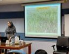 دهمین کارگاه آموزشی و ترویجی طرح جهش تولید برنج با موضوع« مدیریت بیماری های برنج» برگزار شد.