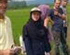 پایش میدانی مزارع برنج بندرانزلی در راستای اجرای طرح جهش تولید