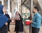 مزرعه الگویی؛ بستری برای انتقال یافته‌های تحقیقاتی و معرفی ارقام جدید برنج