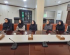 سرمایه انسانی، محور پیشرفت پژوهش؛ ؛ تجلیل از عوامل اجرایی جذب هیئت علمی