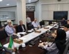 هم‌افزایی پژوهش و ترویج برای جهش تولید برنج؛ تأکید بر پایش مستمر مزارع