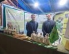 استقبال چشمگیر شالیکاران از رقم «هستی» در میز خدمت کشاورزی