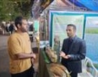 استقبال چشمگیر شالیکاران از رقم «هستی» در میز خدمت کشاورزی