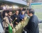 استقبال چشمگیر شالیکاران از رقم «هستی» در میز خدمت کشاورزی