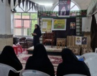 از مهار بلاست تا معرفی ارقام نوین، نسخه پژوهشگران برای افزایش عملکرد شالیزارها