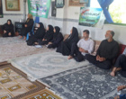 کمبود فسفر چالش مهم شالیزارها از نگاه محققان مؤسسه تحقیقات برنج کشور