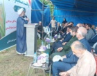 شهرستان فومن، میزبان نخستین برداشت مکانیزه برنج در سال ۱۴۰۵
