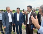 تأکید رئیس سازمان تات بر خوداتکایی در تولید برنج، توسعه ارقام هیبرید و پرمحصول؛ محور اصلی برنامه‌های تحقیقاتی کشور