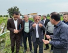 تأکید رئیس سازمان تات بر خوداتکایی در تولید برنج، توسعه ارقام هیبرید و پرمحصول؛ محور اصلی برنامه‌های تحقیقاتی کشور
