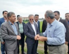 تأکید رئیس سازمان تات بر خوداتکایی در تولید برنج، توسعه ارقام هیبرید و پرمحصول؛ محور اصلی برنامه‌های تحقیقاتی کشور