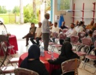 از آزمون خاک تا تغذیه متعادل؛ نسخه محققان برای افزایش عملکرد شالیزارها در رودسر