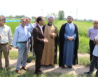 تاکید بر نقش دانش‌بنیان در پایداری تولید برنج در بازدید نماینده ولی‌فقیه در سازمان تات از مؤسسه تحقیقات برنج کشور؛
