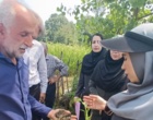 مدیریت علمی آفات و انتخاب ارقام گواهی‌شده؛ محور آموزش شالیکاران در مزارع الگویی سیاهکل
