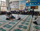 پایش میدانی و آموزش علمی؛ نسخه محققان مؤسسه تحقیقات برنج برای رفع چالش‌های مزارع شالیزاری ماسال