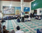 پایش میدانی و آموزش علمی؛ نسخه محققان مؤسسه تحقیقات برنج برای رفع چالش‌های مزارع شالیزاری ماسال