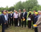 رونمایی از دو رقم معرفی شده تی تی و کویر در روز ملی مزرعه