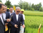 رونمایی از دو رقم معرفی شده تی تی و کویر در روز ملی مزرعه