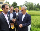 رونمایی از دو رقم معرفی شده تی تی و کویر در روز ملی مزرعه