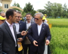 حضور بی واسطه معاون وزیر کشور و رئیس سازمان تحقیقات و آموزش و ترویج کشاورزی در بین کشاورزان