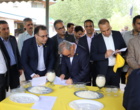 ذائقه مصرف‌کنندگان، داور نهایی ارقام جدید برنج در جشنواره پخت روز ملی مزرعه