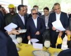 ذائقه مصرف‌کنندگان، داور نهایی ارقام جدید برنج در جشنواره پخت روز ملی مزرعه