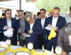 ذائقه مصرف‌کنندگان، داور نهایی ارقام جدید برنج در جشنواره پخت روز ملی مزرعه