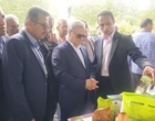 نمایشگاه تخصصی روز ملی مزرعه، بستری برای انتقال دانش و فناوری به بهره‌برداران بخش برنج