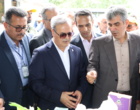نمایشگاه تخصصی روز ملی مزرعه، بستری برای انتقال دانش و فناوری به بهره‌برداران بخش برنج
