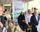 نمایشگاه تخصصی روز ملی مزرعه، بستری برای انتقال دانش و فناوری به بهره‌برداران بخش برنج