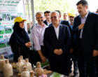 نمایشگاه تخصصی روز ملی مزرعه، بستری برای انتقال دانش و فناوری به بهره‌برداران بخش برنج