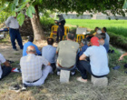 از مدیریت آفات تا راتون‌گیری در آموزش‌های تخصصی موسسه تحقیقات برنج کشور  برای شالیکاران چابکسر