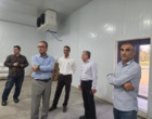 بازدید معاون برنامه‌ریزی و امور اقتصادی سازمان تات از ظرفیت‌های تولید بذر برنج در مؤسسه تحقیقات برنج کشور