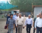 پایش زنجیره تولید بذر گواهی‌شده برنج در شرکت مجتمع کشت و صنعت توم بیجار گیلان