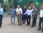 پایش زنجیره تولید بذر گواهی‌شده برنج در شرکت مجتمع کشت و صنعت توم بیجار گیلان