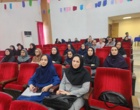 امام مهدی(عج) در یک نگاه؛ فرصتی برای آشنایی با فرهنگ مهدویت