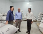 ریل‌گذاری مسیر توسعه تولید برنج کشور با حضور مدیرکل غلات و محصولات اساسی وزارت جهاد کشاورزی