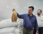 ریل‌گذاری مسیر توسعه تولید برنج کشور با حضور مدیرکل غلات و محصولات اساسی وزارت جهاد کشاورزی