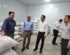 ریل‌گذاری مسیر توسعه تولید برنج کشور با حضور مدیرکل غلات و محصولات اساسی وزارت جهاد کشاورزی
