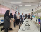 ظرفیت‌های علمی مؤسسه تحقیقات برنج کشور در مسیر توسعه اقتصاد دانش‌بنیان