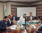 تأکید بر تداوم طرح جهش تولید برنج در مسیر افزایش تولید و تقویت امنیت غذایی کشور