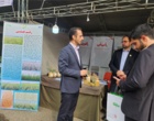 حضور مؤسسه تحقیقات برنج کشور در همایش ملی حکمت، سلامت و امنیت غذایی و هوش مصنوعی