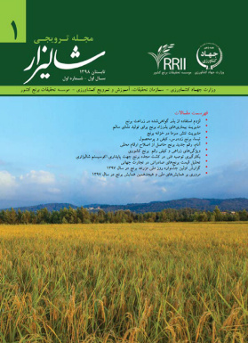 مجله شماره 1