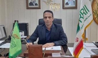موسسه تحقیقات برنج کشور بر لزوم انجام آزمون خاک پیش از کشت تأکید کرد