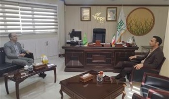 نشست هم‌اندیشی برای توسعه دانش‌بنیان کشت برنج و ارتقای بهره‌وری در شالیزارهای کشور برگزار شد