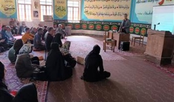 کشت مستقیم برنج بر بستر مرطوب، افزایش بهره‌وری و کاهش هزینه